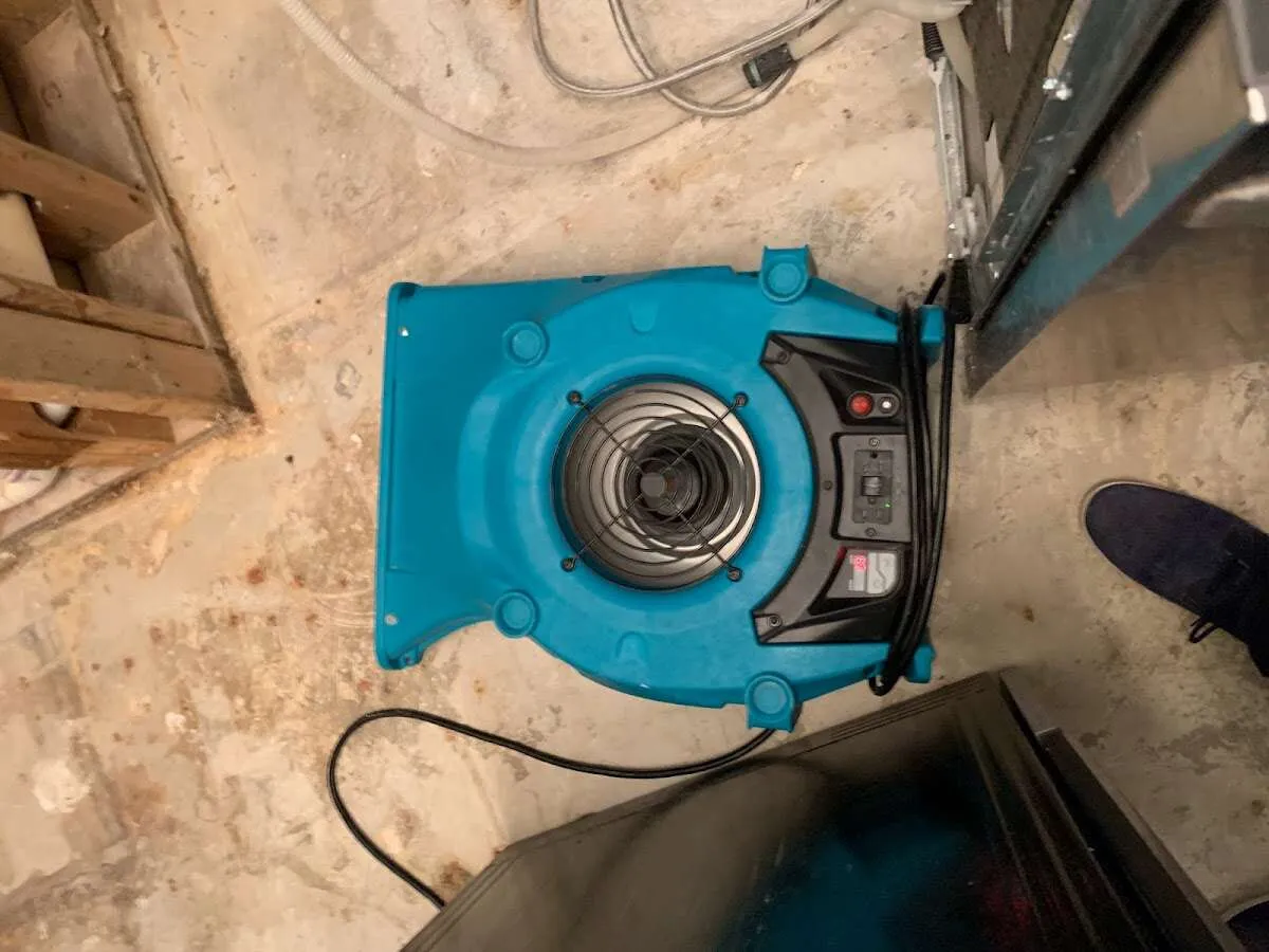 Air mover drying equipment for Mold Remediation & Removal in Ashburn